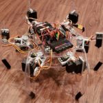 Briggs The Hexapod: The First Steps