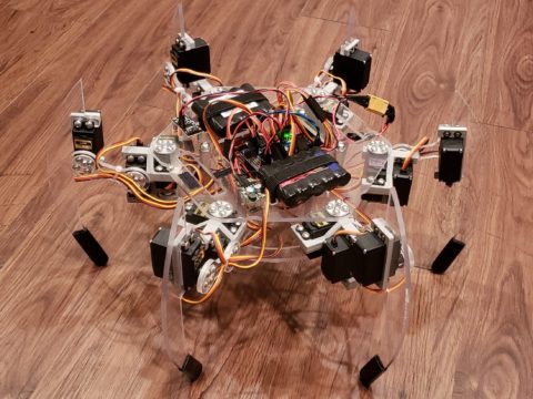 Briggs The Hexapod: The First Steps