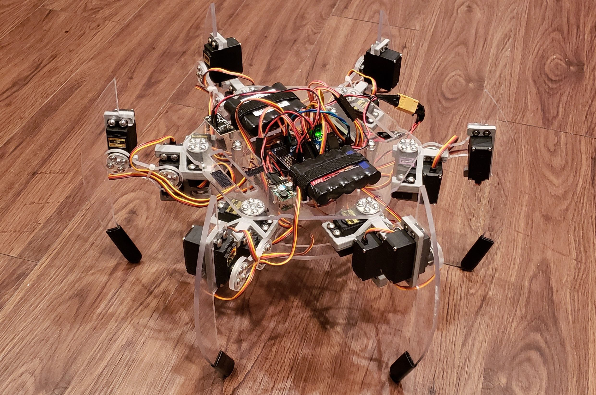 Briggs The Hexapod: The First Steps